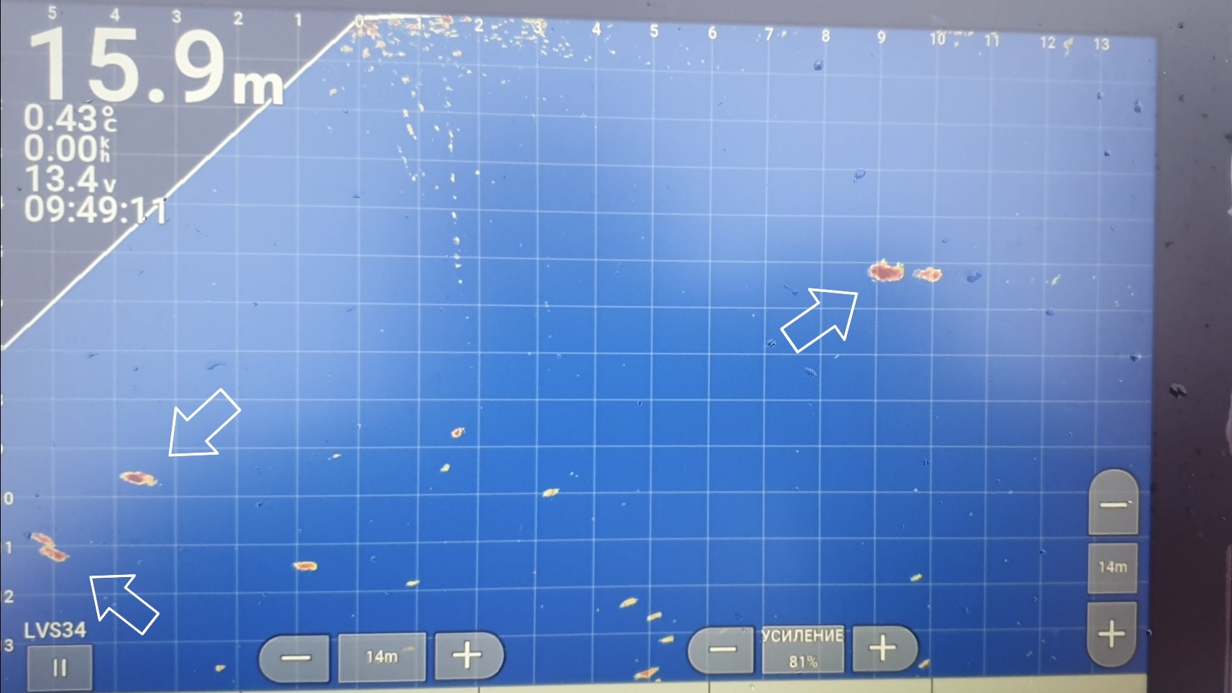 Форель - беглянка в Карелии. Как выглядит в Panoptix. 1 февраля 2025. смотреть онлайн