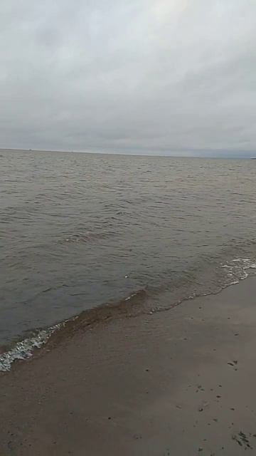 берег Кронштадта ветерок_20171112_143146 смотреть онлайн