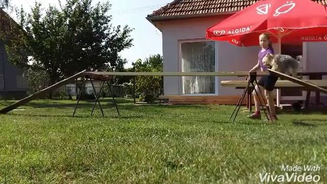 Agility/povely смотреть онлайн