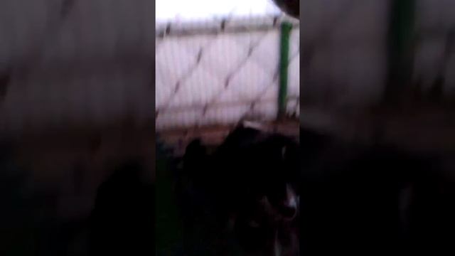 4 часа ночи. Снимаю видео смотреть онлайн