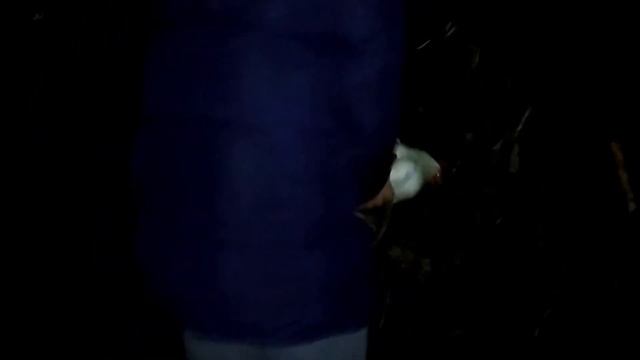 Ночная охота смотреть онлайн