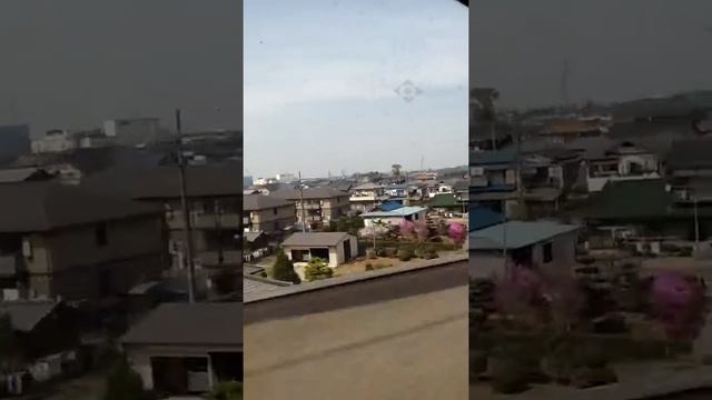 KOREAL смотреть онлайн