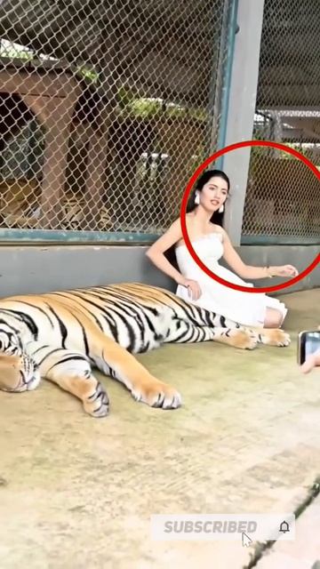 CUTE GRIL WITH SCARY TIGER |🔥😱😱😮 #shorts #shortvideo #short смотреть онлайн