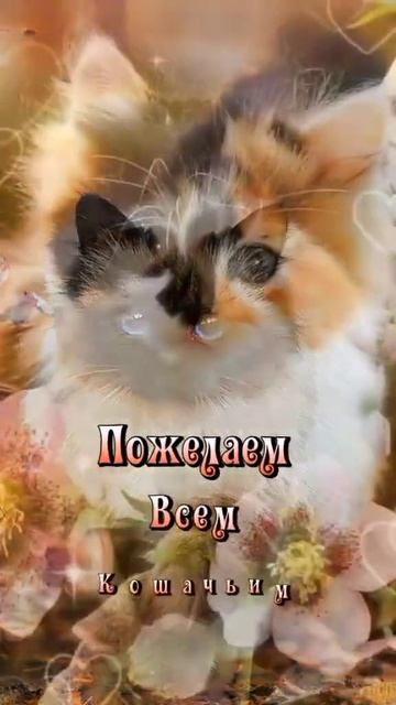 С первым днём вёсны и днём Кошек смотреть онлайн