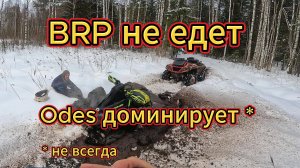 Покатались по просеке, сломали передний редуктор на Aodes Mud Pro!