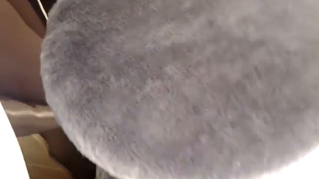 Сфинксы смотреть онлайн