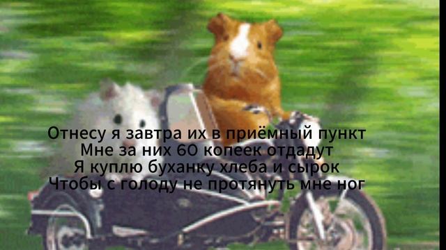 Сектор газа - бомж смотреть онлайн