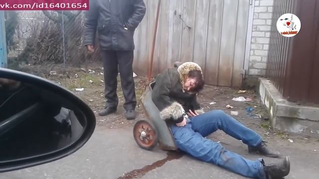 Везли везли и не довезли смотреть онлайн