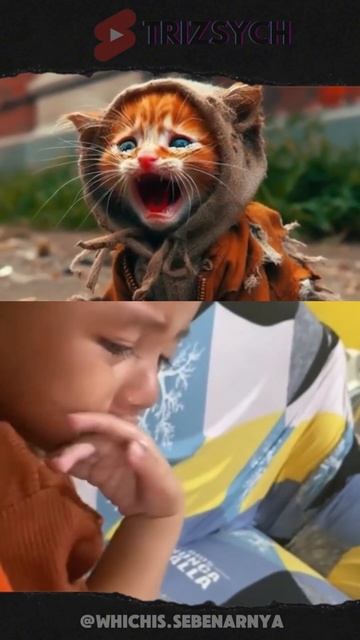 Mereka Menangis 😭 | Efek sound meaw meaw kucing bikin Baper !!! смотреть онлайн