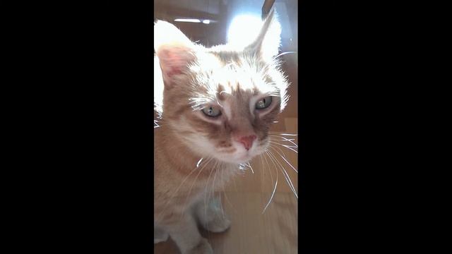 Кузенька смотреть онлайн