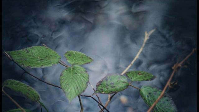 Родник Стихи Ольги Флярковской Музыка и исполнение Владимир Черняев смотреть онлайн