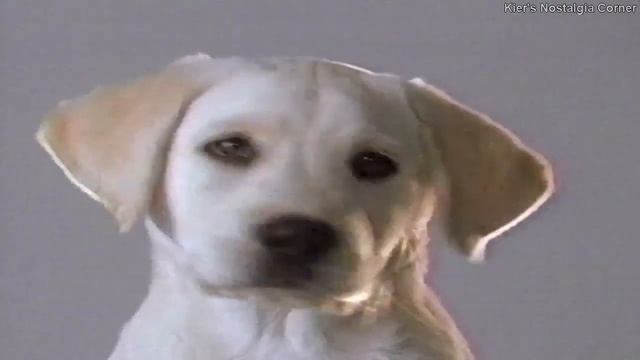 A&E Network commercial block, 1998 VOL. 02 смотреть онлайн