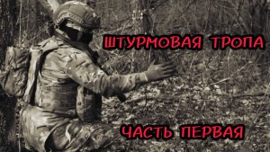 Штурмовая тропа. Часть первая. Батальон им.Карбышева.