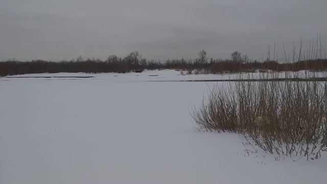 Заяц не всегда легкая добыча смотреть онлайн