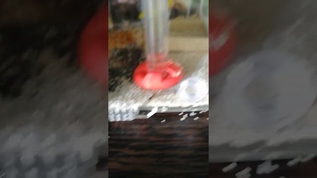 Переезд муравьёв блог 2 смотреть онлайн