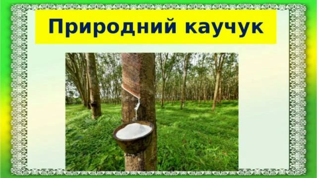 Чому матеріали використовують повторно. Я досліджую світ, 4 клас / Т.Гільберг смотреть онлайн