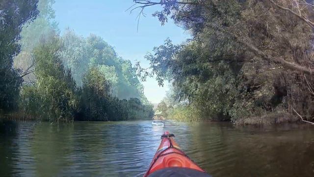 Cu caiacele in Delta Dunarii 2022 смотреть онлайн