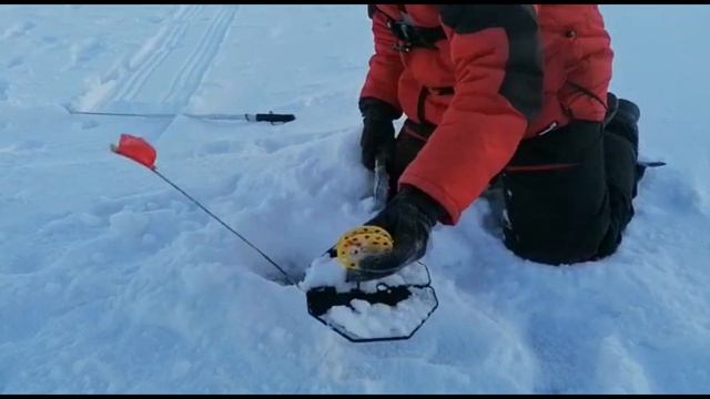 ЖЕРЛИЦЫ в -42. Зимняя рыбалка в МОРОЗ! Апаратура НЕ ВЫДЕРЖИВАЕТ! Ловля щуки на жерлицы в ГЛУХОЗИМЬЕ смотреть онлайн