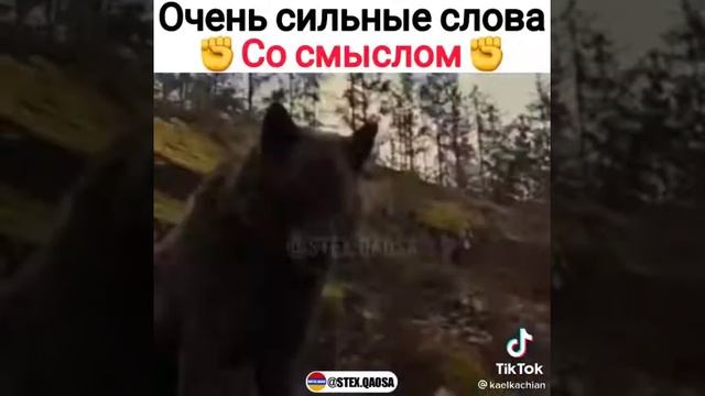 Со смыслом дослушай смотреть онлайн