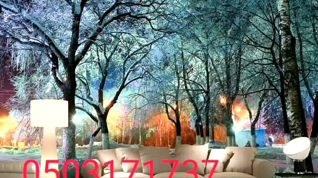 0552926664 tri de pol epoksit pol dartma tavan dartma tavanlar Foto oboy foto oboylar 3d oboylar смотреть онлайн