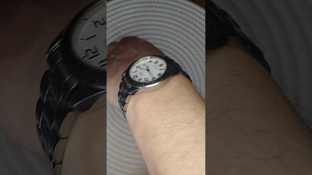 Casual men watch Casio MTP-1259, module 2784, смотреть онлайн