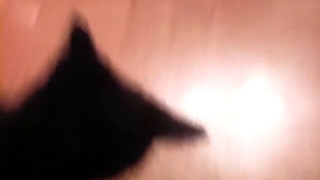 Я играю с котенком 1ч. смотреть онлайн