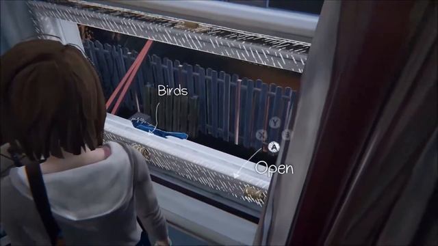 Life Is Strange - blue bird