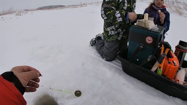 ЖЕРЛИЦЫ!!! Ловля КРУПНОЙ и мелкой щуки на ЖЕРЛИЦЫ!!! Щука на живца в марте. ЭКСПЕРИМЕНТ!!! смотреть онлайн