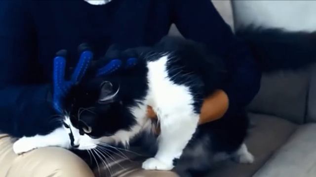 варежка смотреть онлайн