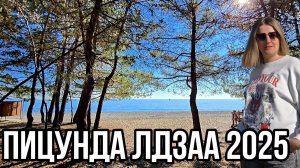 Пицунда Лдзаа, Чистое ли море?  Абхазия зима 2025