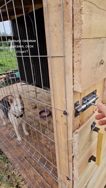 вольер своими руками смотреть онлайн
