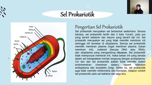 Pengertian, Struktur, dan Fungsi Sel Prokariotik dan Eukariotik Kelompok 8 смотреть онлайн