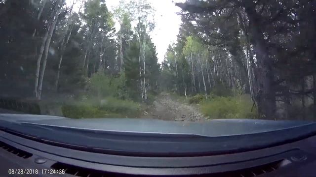 dcam 150 смотреть онлайн