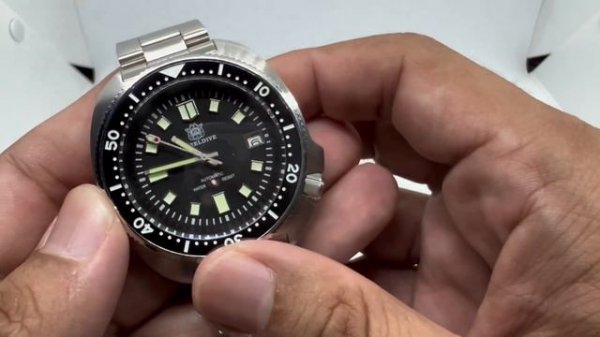 WATCH before you BUY: SteelDive SD1970, my ultimate budget automatic watch