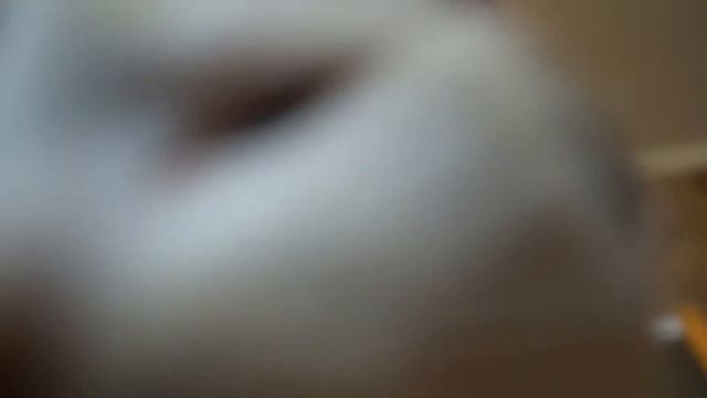 Школа Котов (RYTP) смотреть онлайн