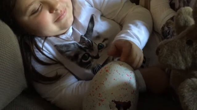 Hatchimals Fabula Forest смотреть онлайн