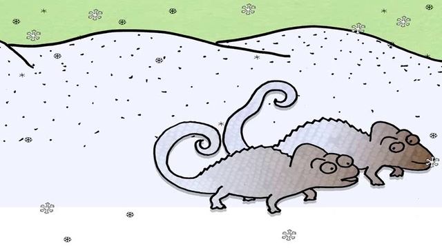 Chameleon story смотреть онлайн