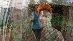 Каркас теплицы из профильной трубы получился крепкий