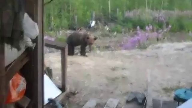 Напросились смотреть онлайн