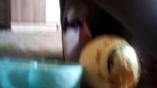 Горилла убийца вампир 2 часть 1 сезон смотреть онлайн