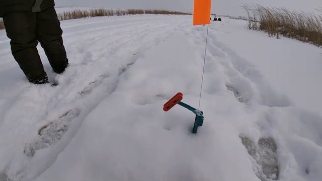 ЖЕРЛИЦЫ! Сработка за сработкой! 50 загаров за 4 часа! В ЭТОМ БОЛОТЕ МНОГО ЩУКИ!!! Рыбалка на жерлицы смотреть онлайн