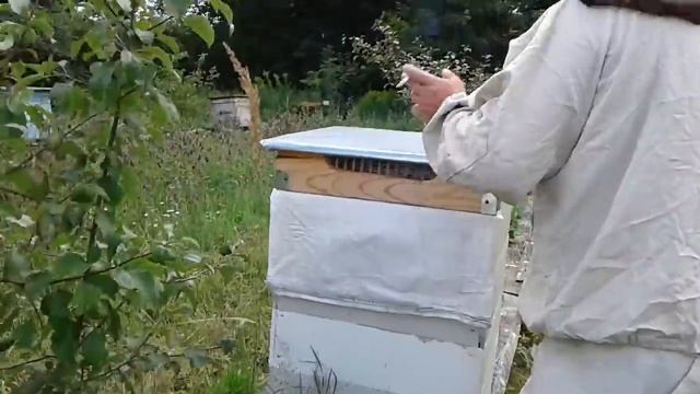 Ответы на комментария и не только. смотреть онлайн