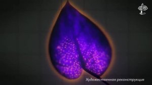 30-ВЕРСАДОКО-4е СОСТОЯНИЕ ЖИЗНИ Биоплазма и Биоэлектричество (Все части)