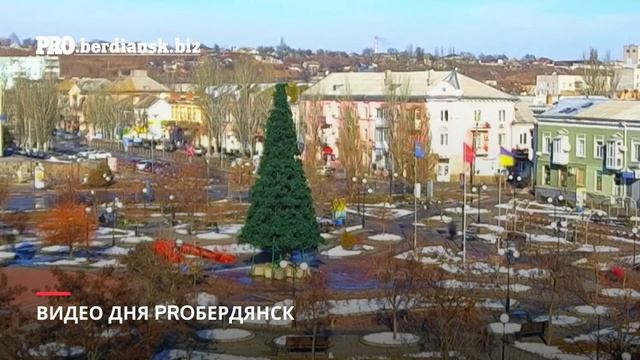 В БЕРДЯНСКЕ РАЗОБРАЛИ ЕЛКУ смотреть онлайн