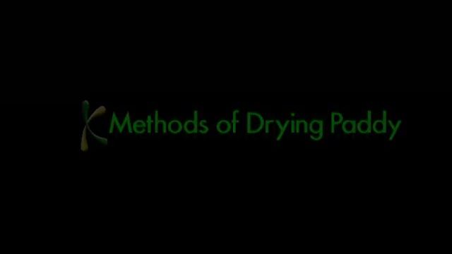 Paddy (Unhusked Rice) Drying Methods смотреть онлайн