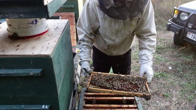 подготовка пчел к зимовке продолжается смотреть онлайн