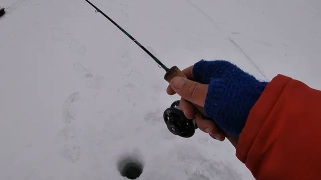 Ловля судакана Вибы, плотвы на мотыля. Расстановка жерлиц. Щука на жерлицы. Зимняя рыбалка в Сибири смотреть онлайн