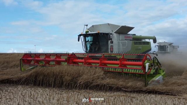 Canola Harvest 2022 I 2 Claas Lexion w/ MacDon FD140 & Convio 1230 I Idagaard смотреть онлайн