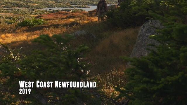 Epic Moose Hunts Vol.1 | Best Of | Canada In The Rough (ULTIMATE Moose Hunting Compilation)