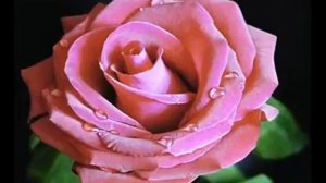 Shahin Ismayilolv   Aynurem   YouTubevia torchbrowser com
